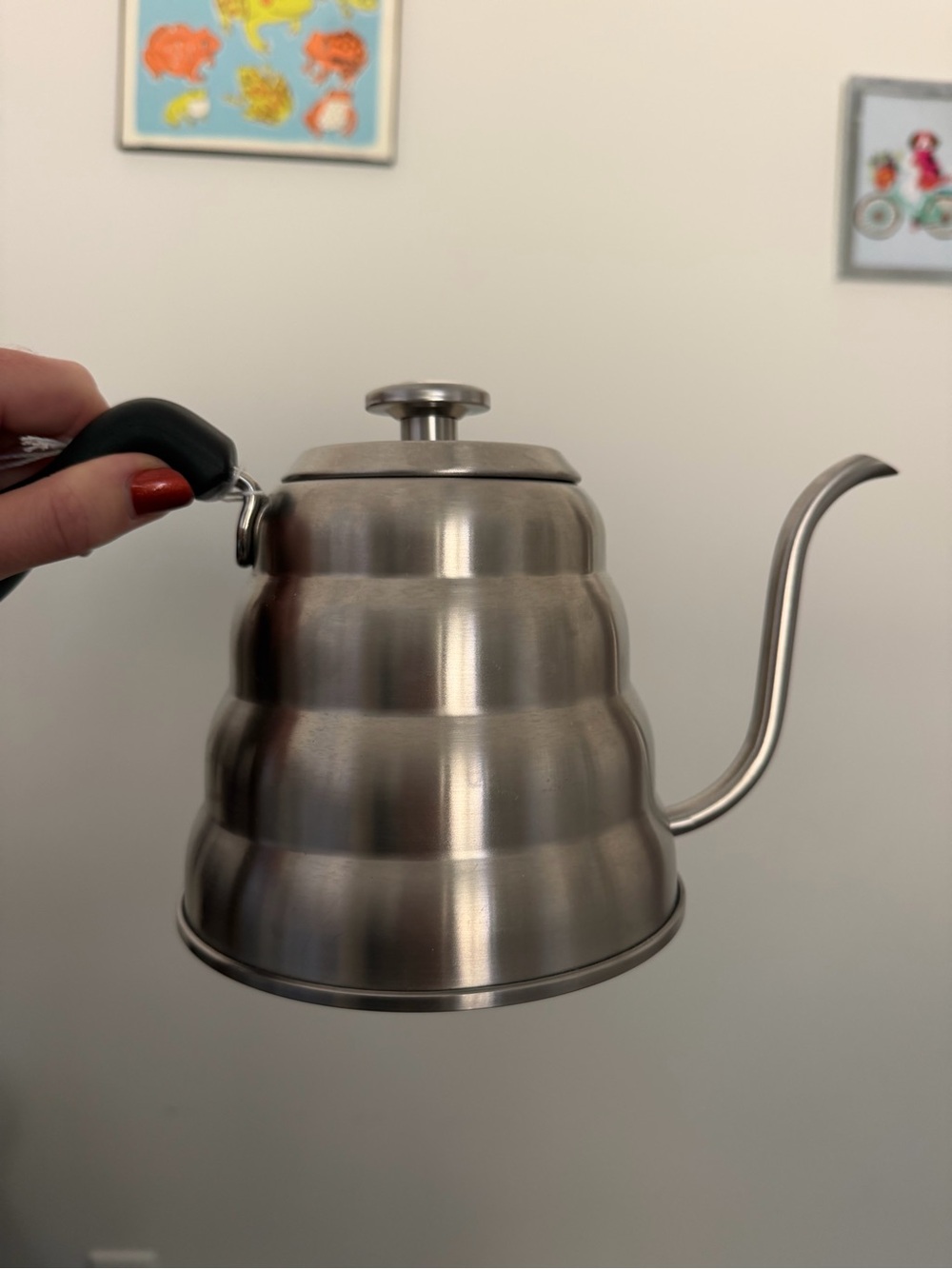 Stainless Steel Gooseneck pour over Kettle with thermometer - Brushed Silver